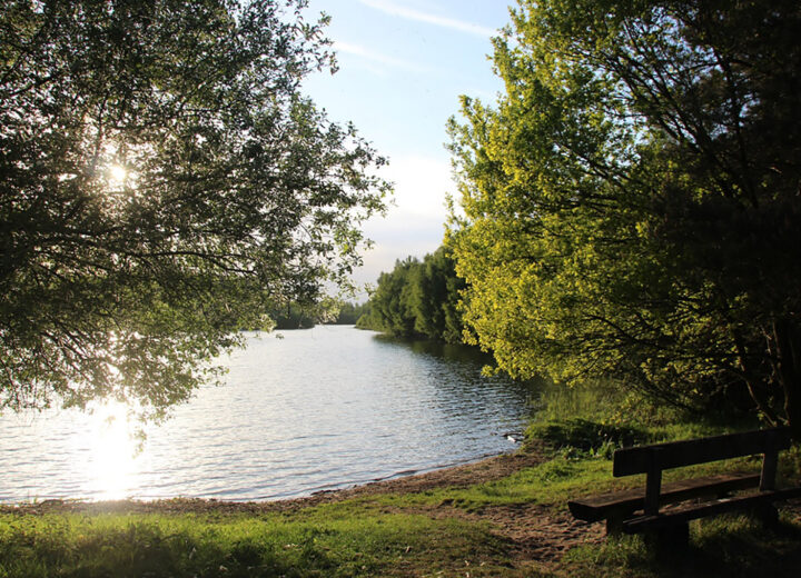 Natuurgebied De Kuilen